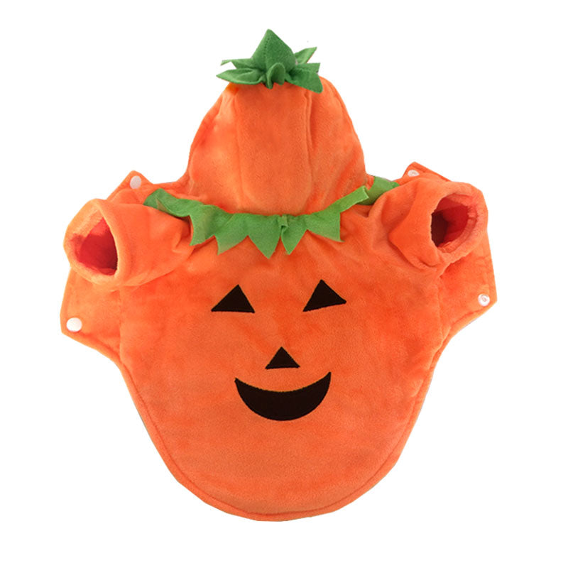 Halloween pumpkin fleece costume on a small dog