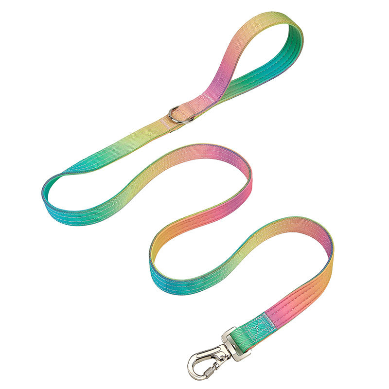 Gradient dog collar and lead, ideal for everyday use
