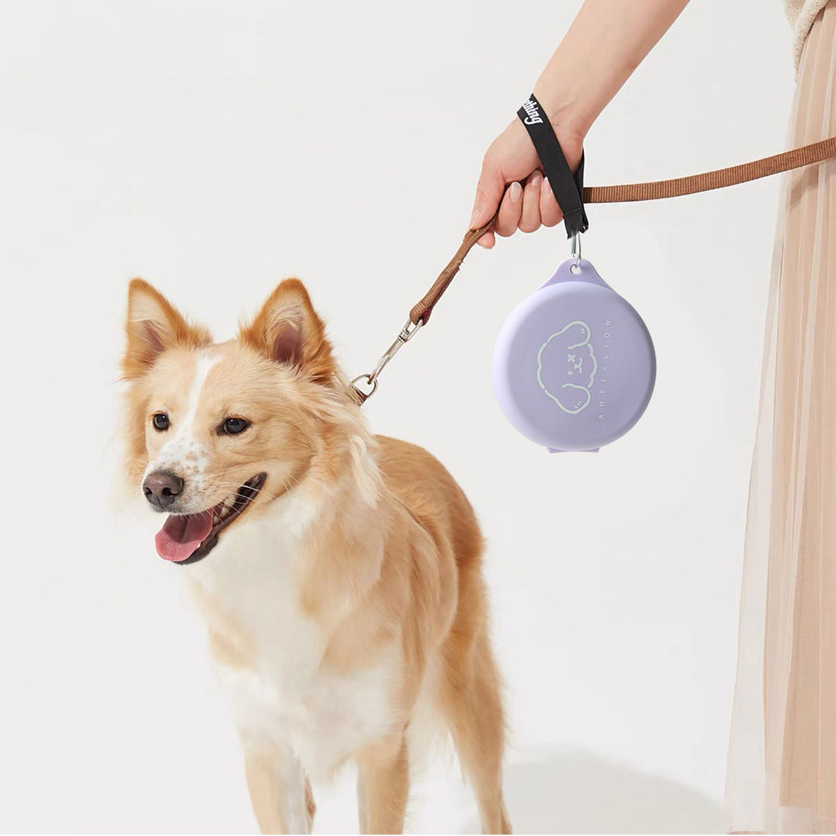 Foldable Silicone Pet Bowl for Outdoor Walks and Travel for Dogs and Cats