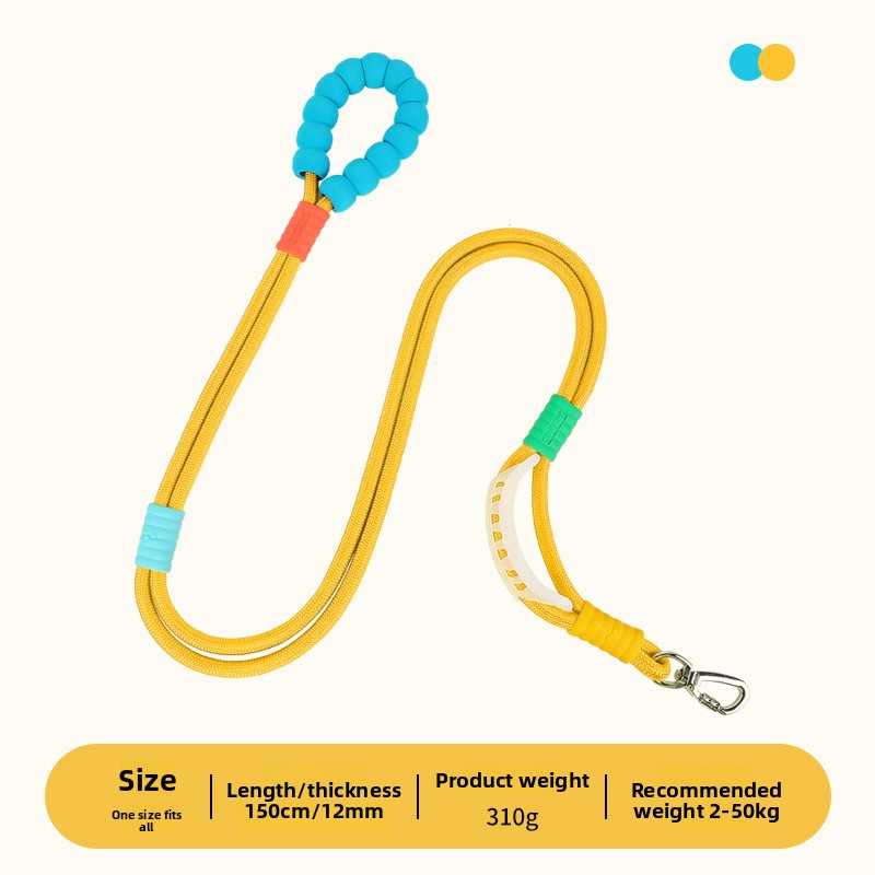 Bright nylon dog lead in vivid colour, product image 11
