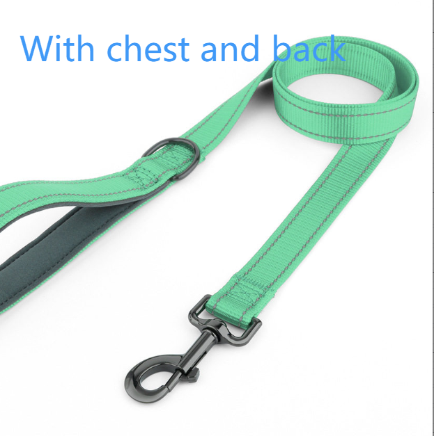 Wide chest nylon dog harness with front buckle and metal hardware, product image 77