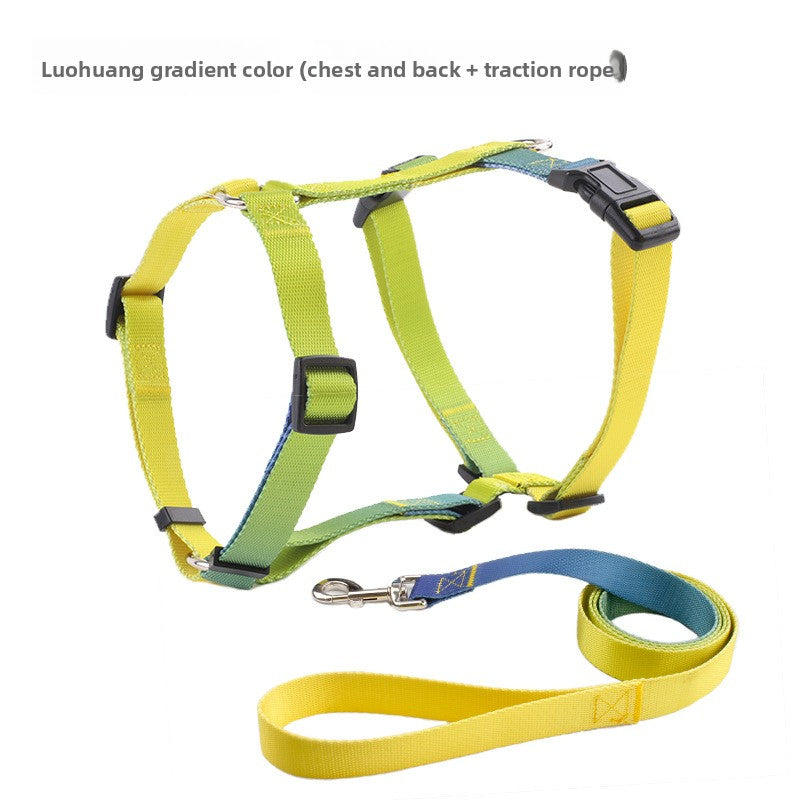 Padded dog harness set shown in light sky blue and beige red