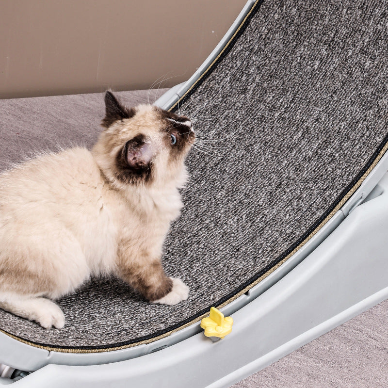 Quiet cat exercise wheel with a soft carpet track