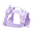 PVC dog harness lead and collar set in bright colours, main product photo