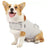 Cotton dog comfort pressure vest, available in 6 colours, image 14