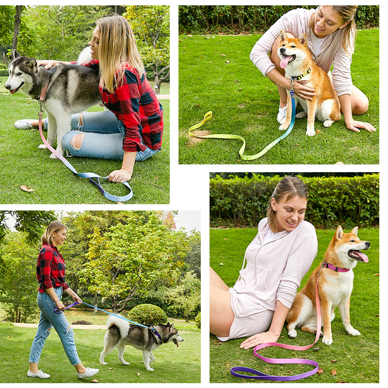 Three piece dog harness, collar and lead set in orange gradient
