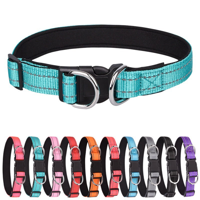 Reflective padded dog collar with locking buckle in Black, showing size and shape