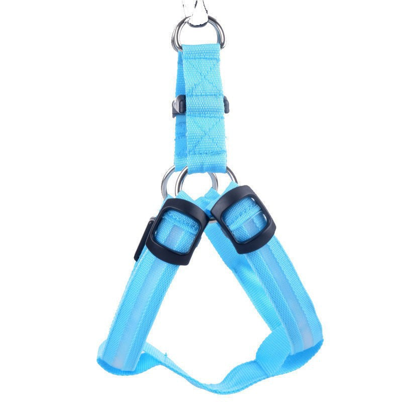 LED fibre optic dog harness glowing blue on a night walk