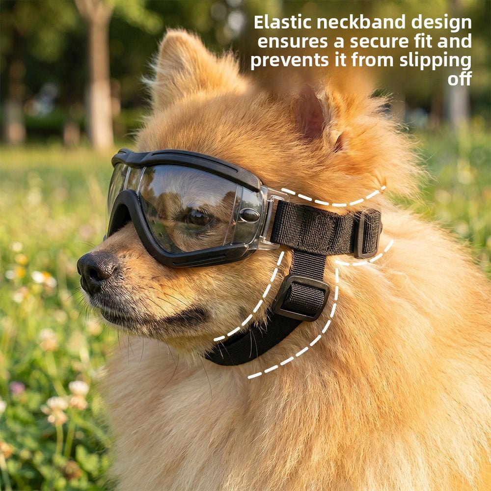 Dog goggles with adjustable straps, 3 sizes available