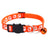 Colourful paw print cat collar with little bell, product image 13