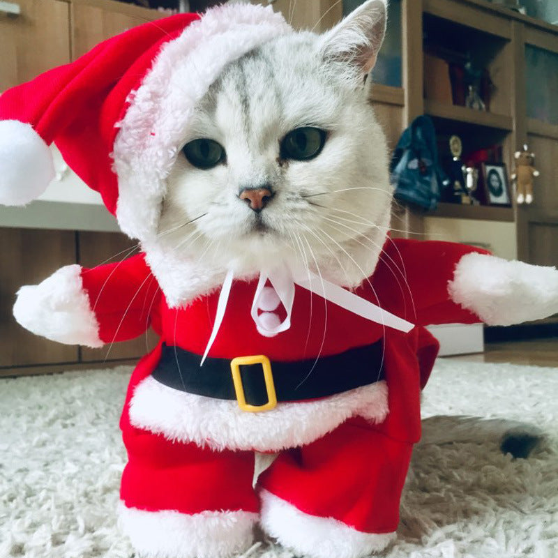 Funny holiday pet costumes in six different styles