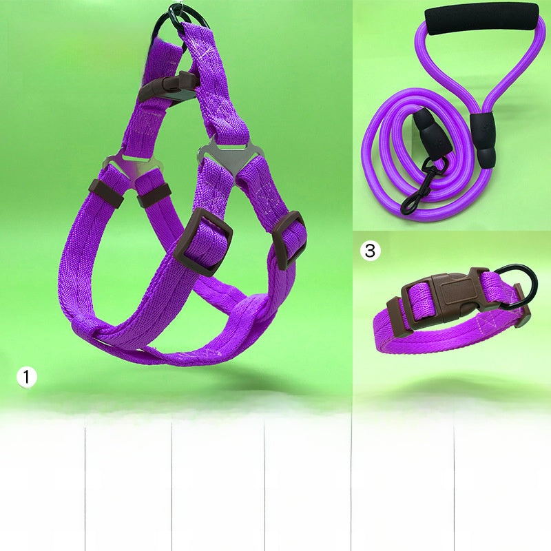 Padded nylon dog harness set with matching collar and lead in red