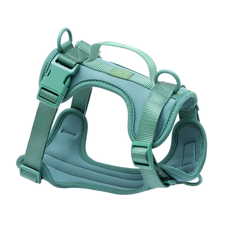 PVC dog harness lead and collar set in bright colours, available from Pet Royale UK
