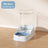 Automatic feeder and water dispenser