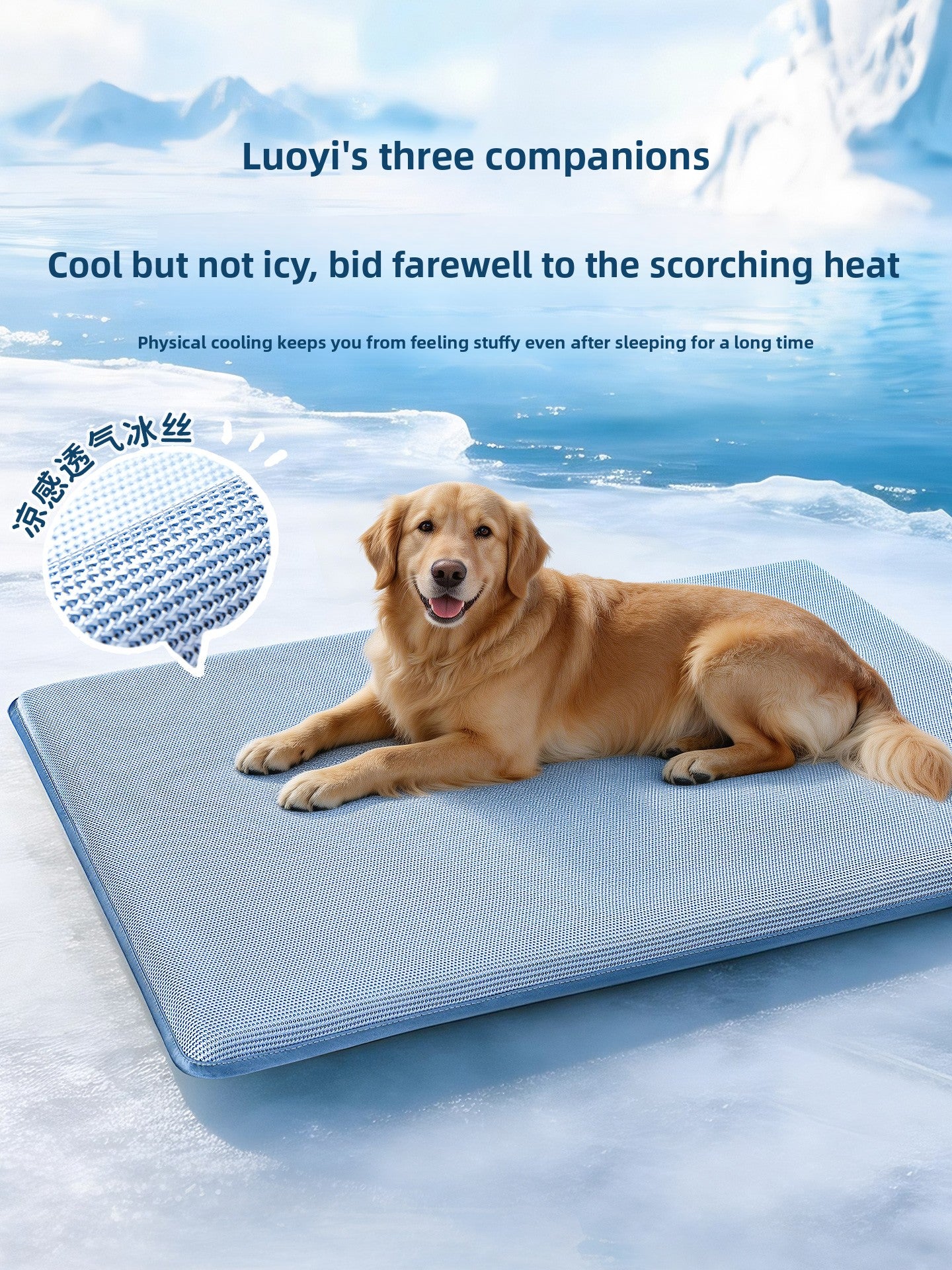 Glacier blue dog cooling mat with foam padding