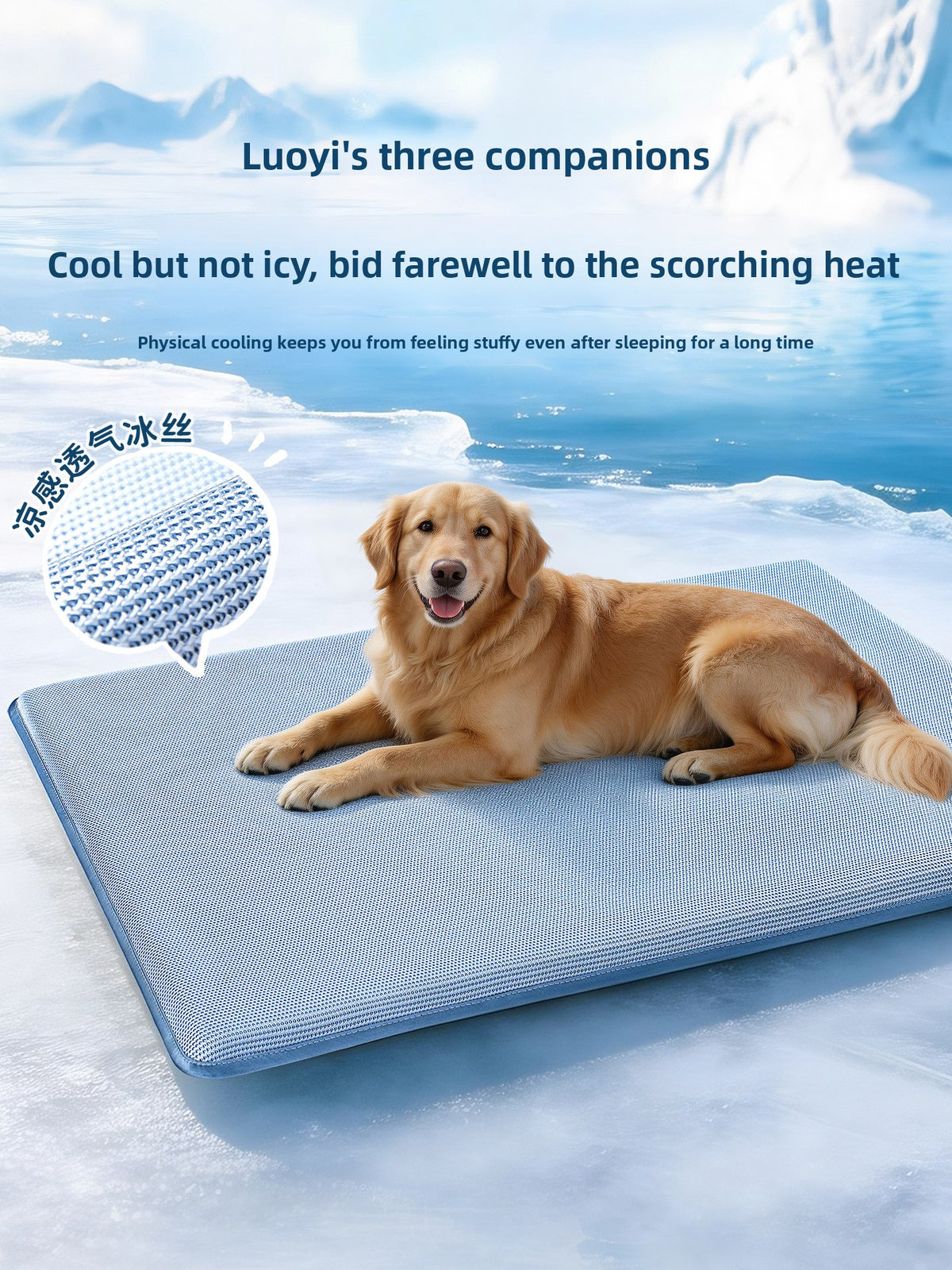Glacier blue dog cooling mat with foam padding