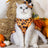 Halloween and Christmas pet dress for dogs and cats, side view