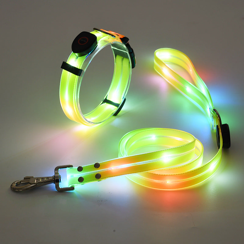 USB rechargeable LED dog collar and lead in Yellow Collar, front view