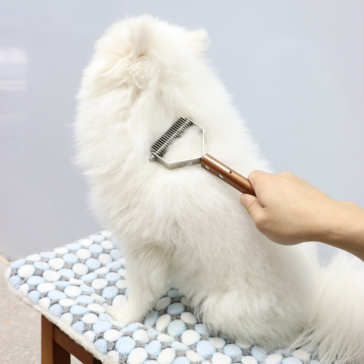 Wooden Handle Detangling Comb with Stainless Steel Pins for Pets