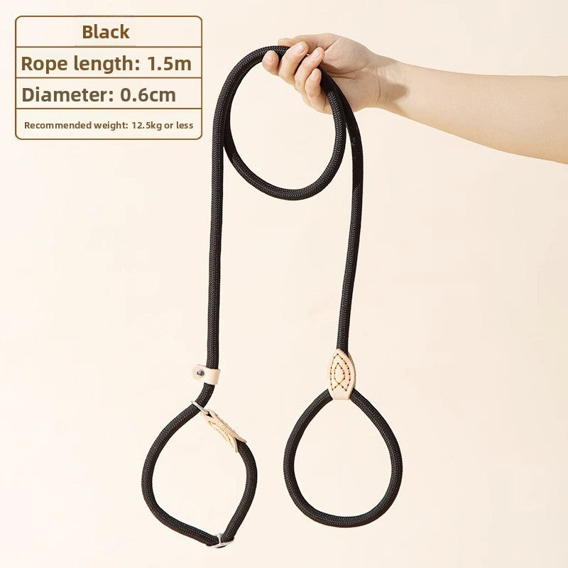 Tangle free twin retractable lead with comfortable handle