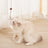 Pet Puzzle Toy