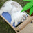 Wooden raised cat roller bed with built-in scratching area, photo 3
