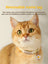Breakaway cat collar with bell in fresh yellow, product image 4