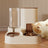 Cat Double Bowl Set with Water Dispenser, Ceramic or Steel
