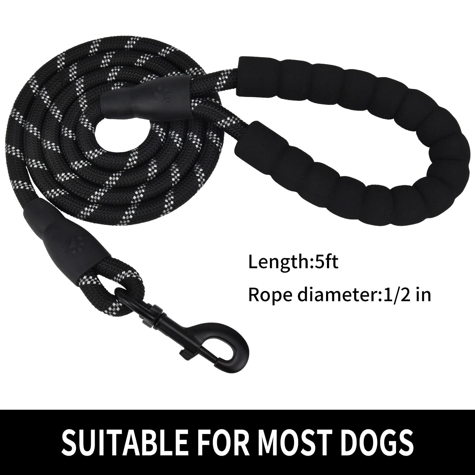 Strong nylon dog walking lead, close-up detail view