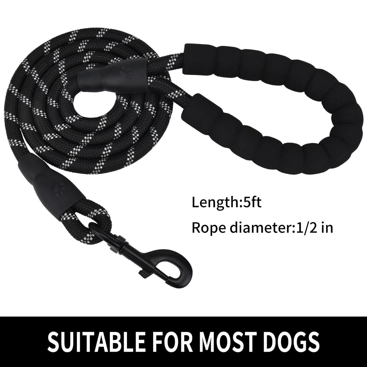 Strong nylon dog walking lead, close-up detail view