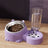 Dual Bowl Pet Feeder with Anti-Knock Base and Raised Neck Protection Design