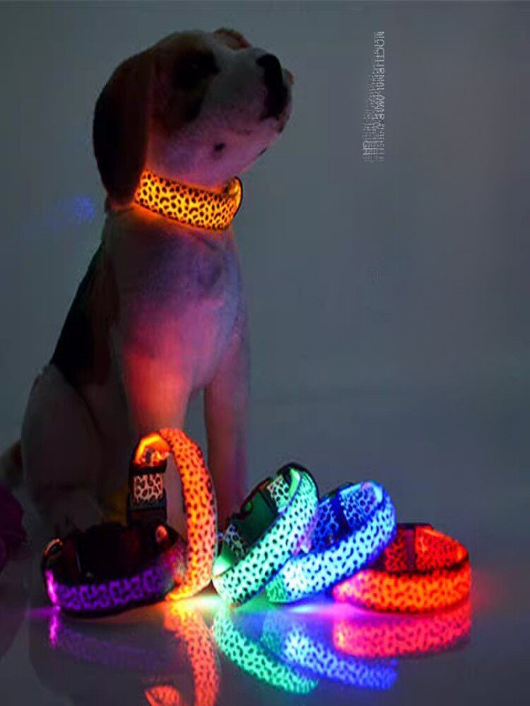 Light up dog collar with reflective strip glowing at night, product image 3