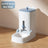 Automatic feeder and water dispenser