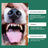 Dog Dental Cleaning Powder for Fresh Breath and Plaque Care