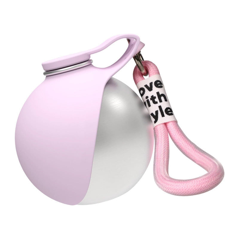 Portable 304 Stainless Steel Puppy Water Bottle, 285ml, Pink or Blue, Plain or Printed