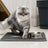 Washable Honeycomb Cat Litter Mat, Anti-Scatter Filter Pad