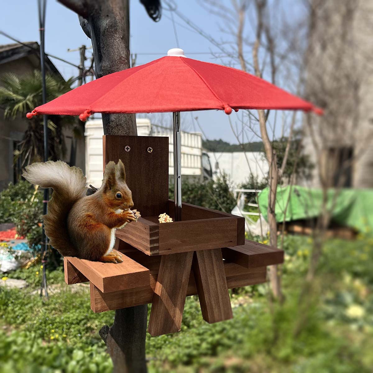 Hanging Squirrel Bird Feeder with Red Umbrella