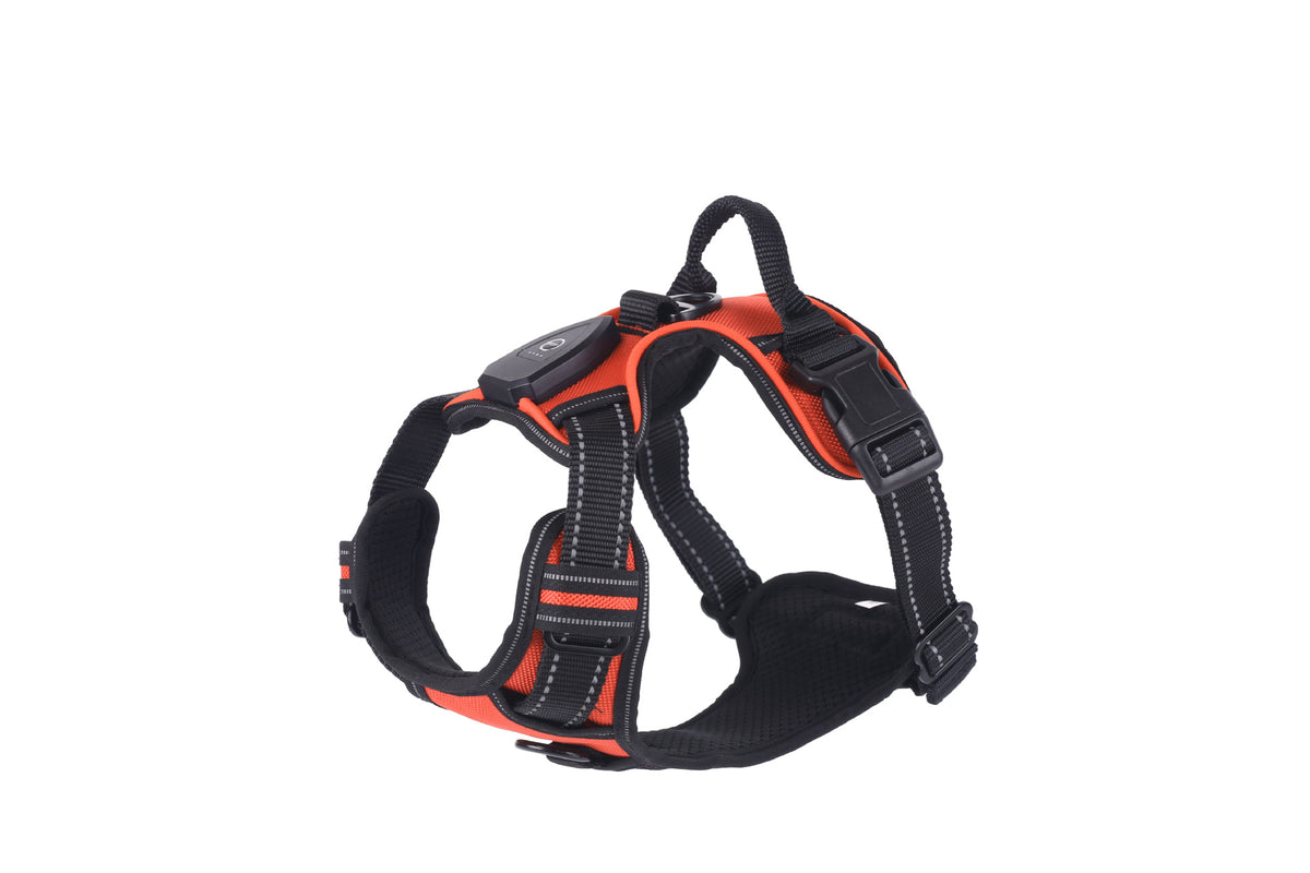 Light up fibre optic dog harness glowing at night, view 22