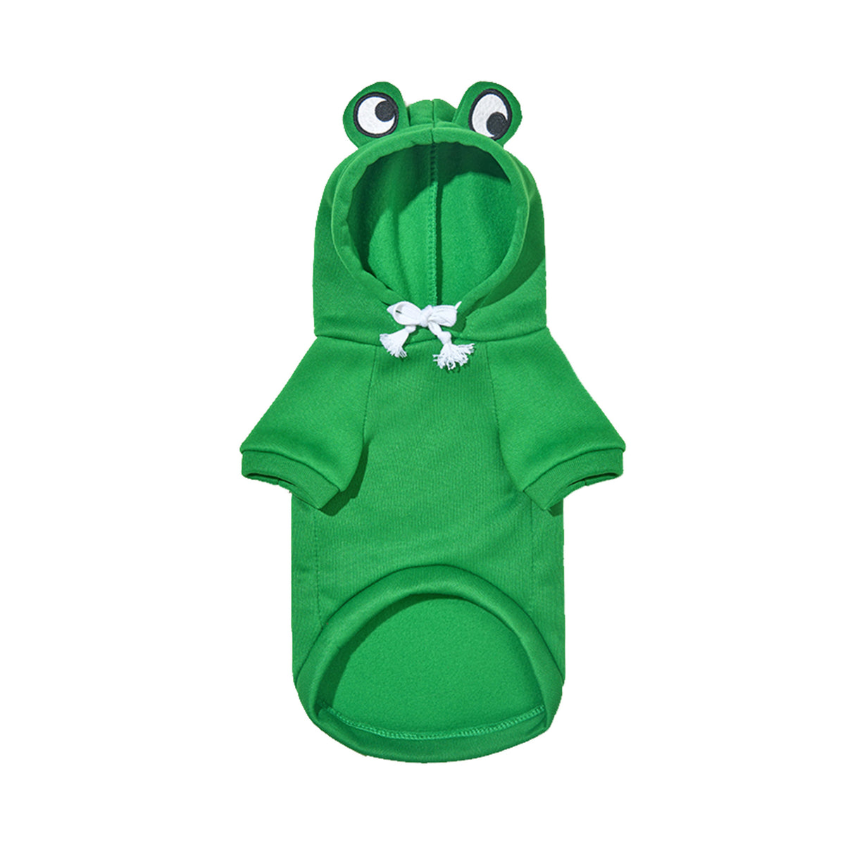 Small dog wearing a green frog fleece sweatshirt