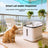 MOQ:6 Silent Smart Pet Water Dispenser