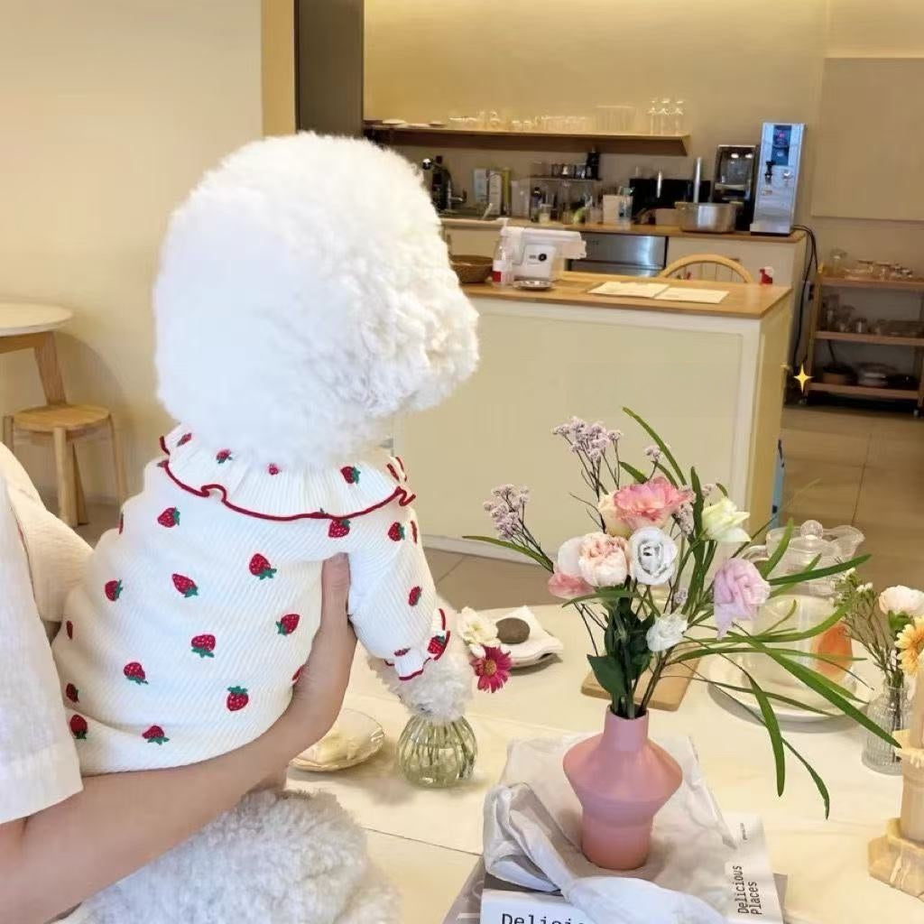 Small dog wearing a pink strawberry print T-shirt