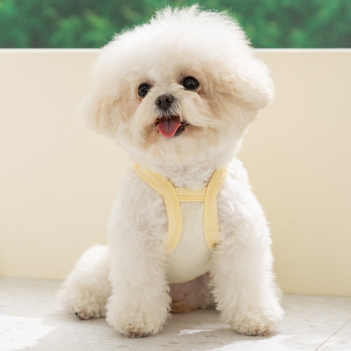 Breathable summer dog vest, available in 11 styles, sizes Extra Small to 2XL, image 4