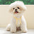 Breathable summer dog vest, available in 11 styles, sizes Extra Small to 2XL, image 4