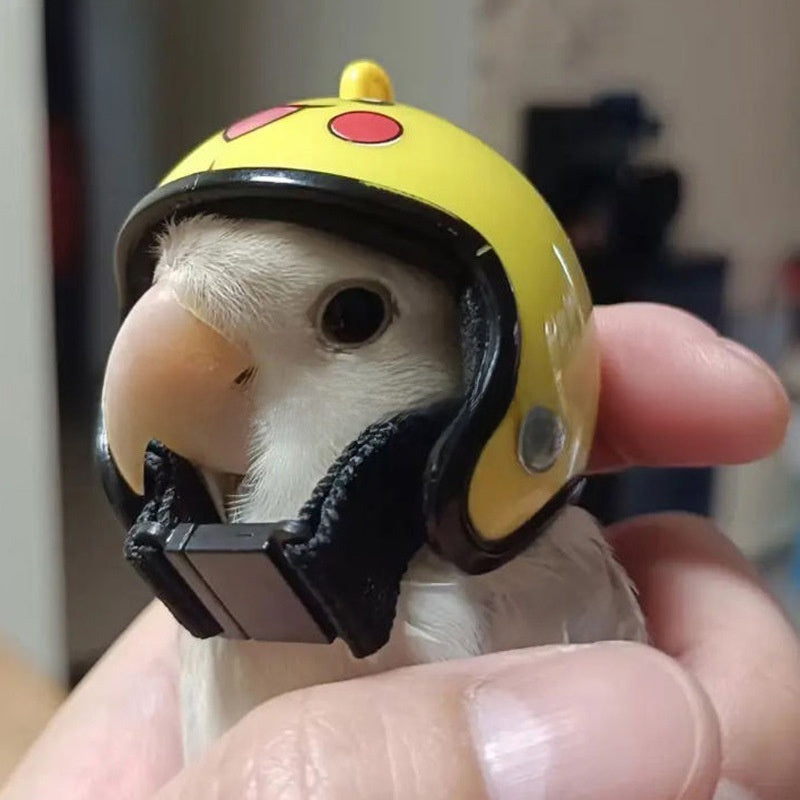 Anti-Pecking Helmet for Chickens and Birds, Cute Animal Designs