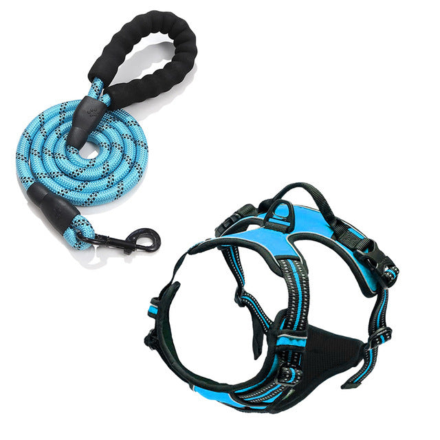 Reflective burst proof dog harness in orange with matching lead
