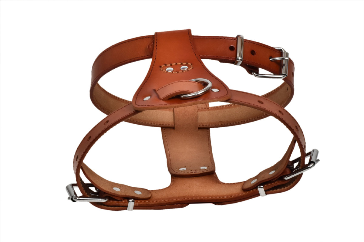 Brown leather dog chest harness with adjustable chest and neck straps, view 5