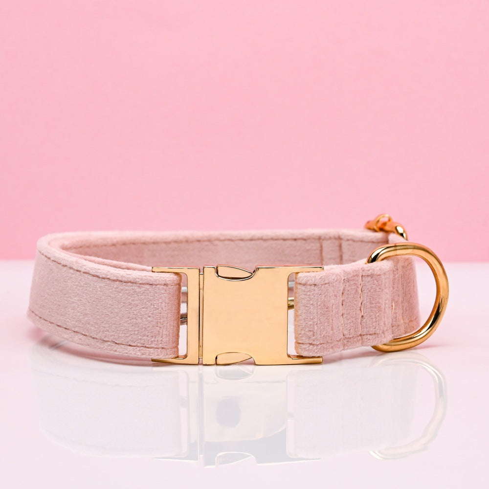 Soft velvet dog collar with metal buckle, ideal for everyday use