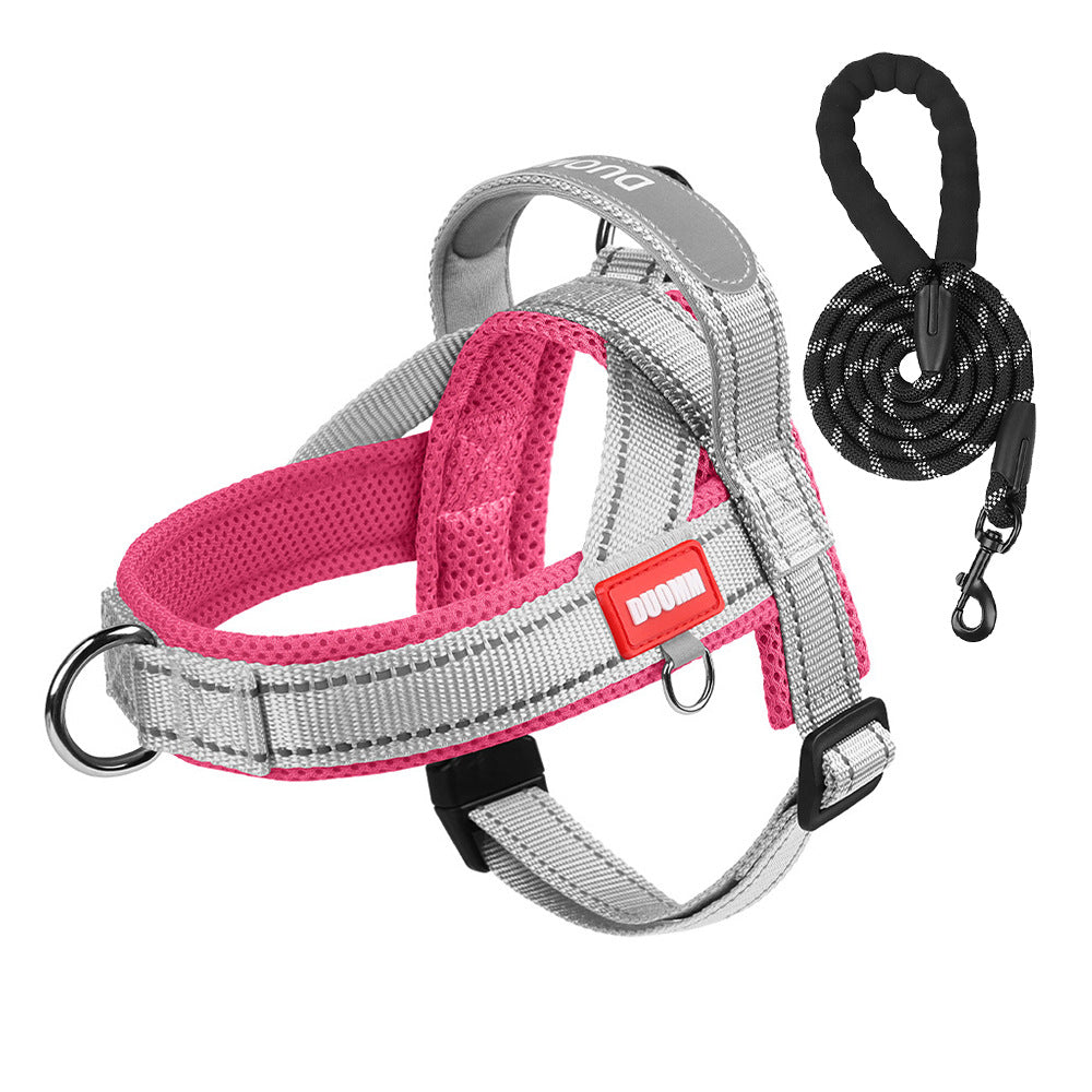 Reflective no pull saddle harness in red and blue on a dog