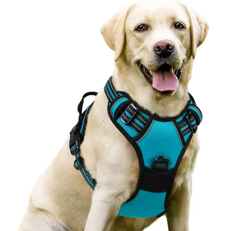 Nylon vest dog harness with matching lead in peacock blue