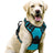 Nylon vest dog harness with matching lead in peacock blue